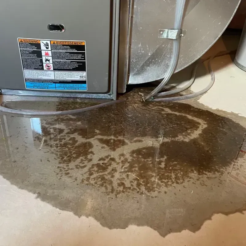 Appliance Leak Cleanup in Ashland, MA